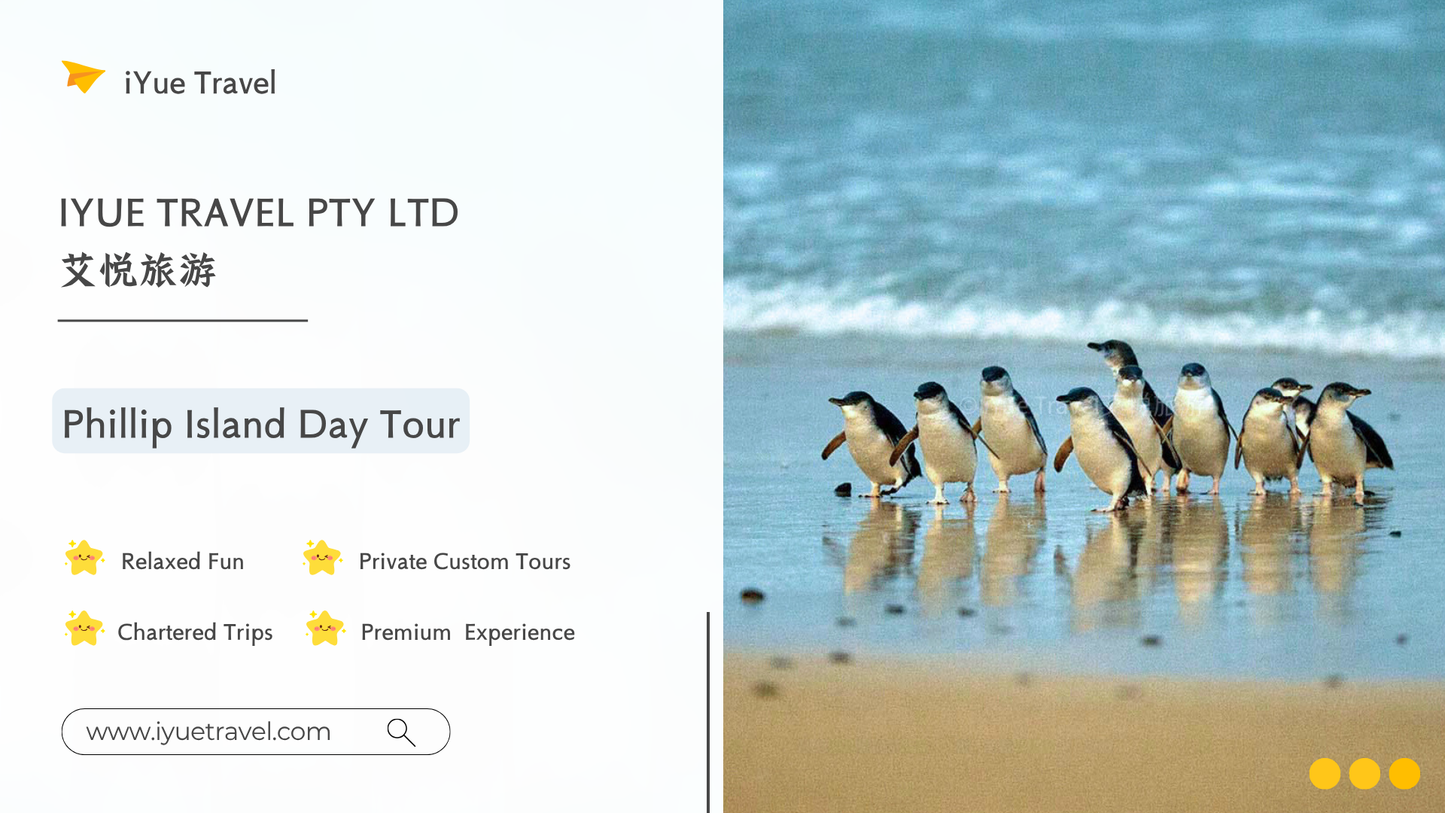 Phillip Island & Penguin Parade Tour: Wildlife & Scenic Views (1-6 people)