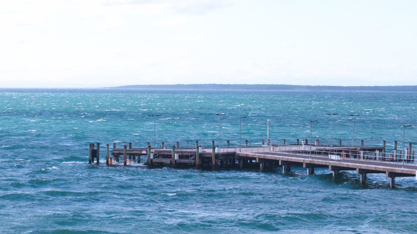Phillip Island & Penguin Parade Tour: Wildlife & Scenic Views (1-6 people)