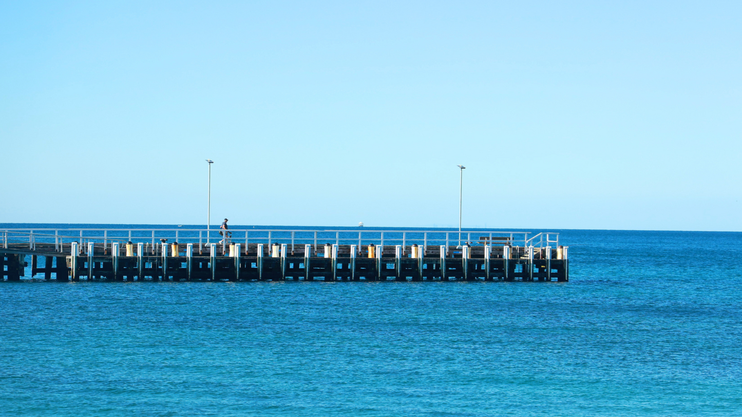Mornington Peninsula Highlights: Beaches, Wineries, and Scenic Views (1-6 people)
