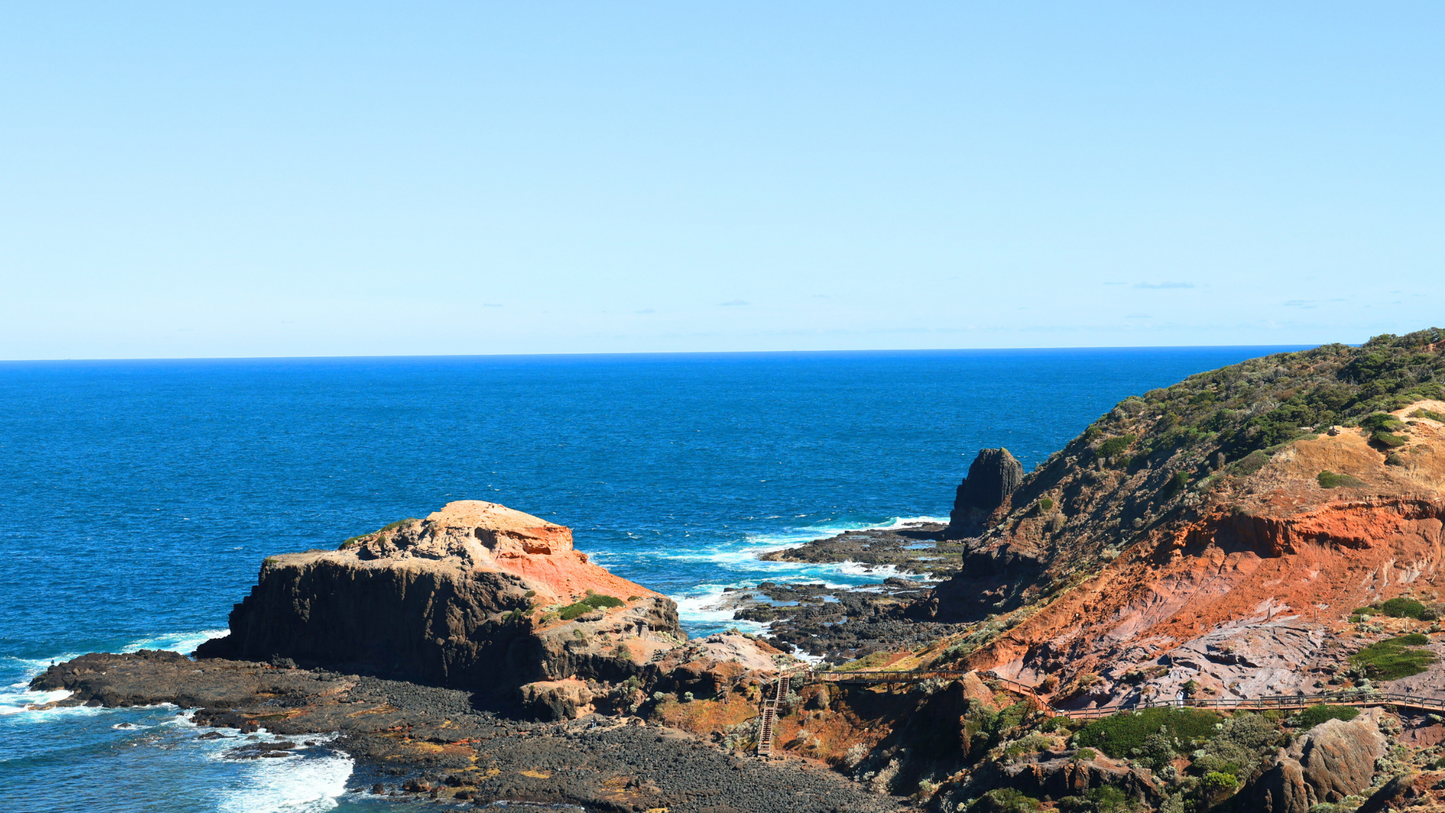 Mornington Peninsula Highlights: Beaches, Wineries, and Scenic Views (1-6 people)