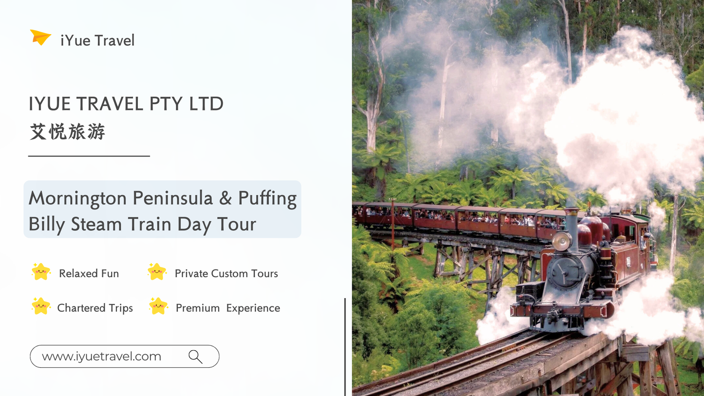 Mornington Peninsula + Puffing Billy Day Tour: Wildlife, Wine & Art (1–6 people)
