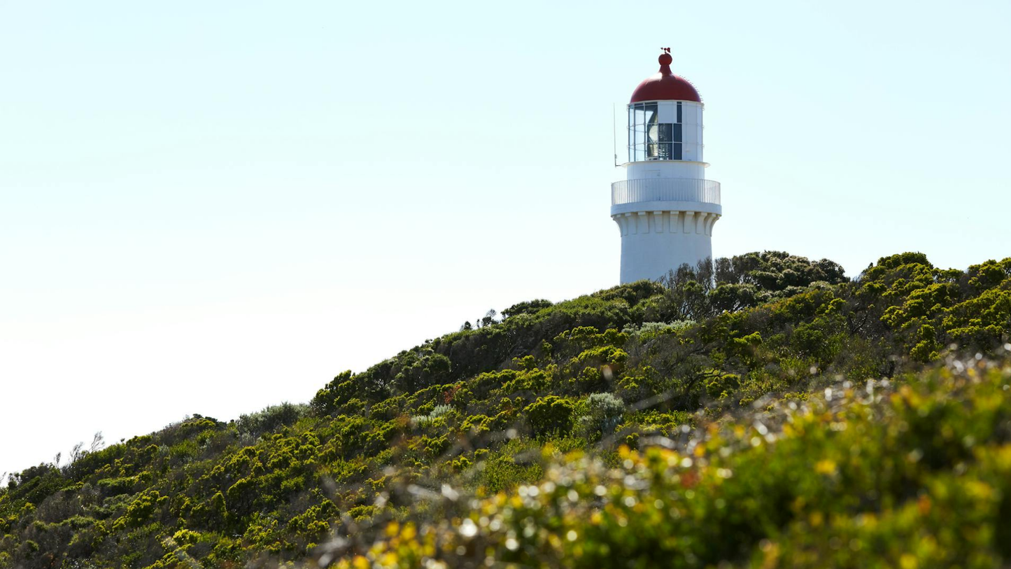 Great Ocean Road Adventure: Scenic Coastlines & Iconic Landmarks (1-6 people)