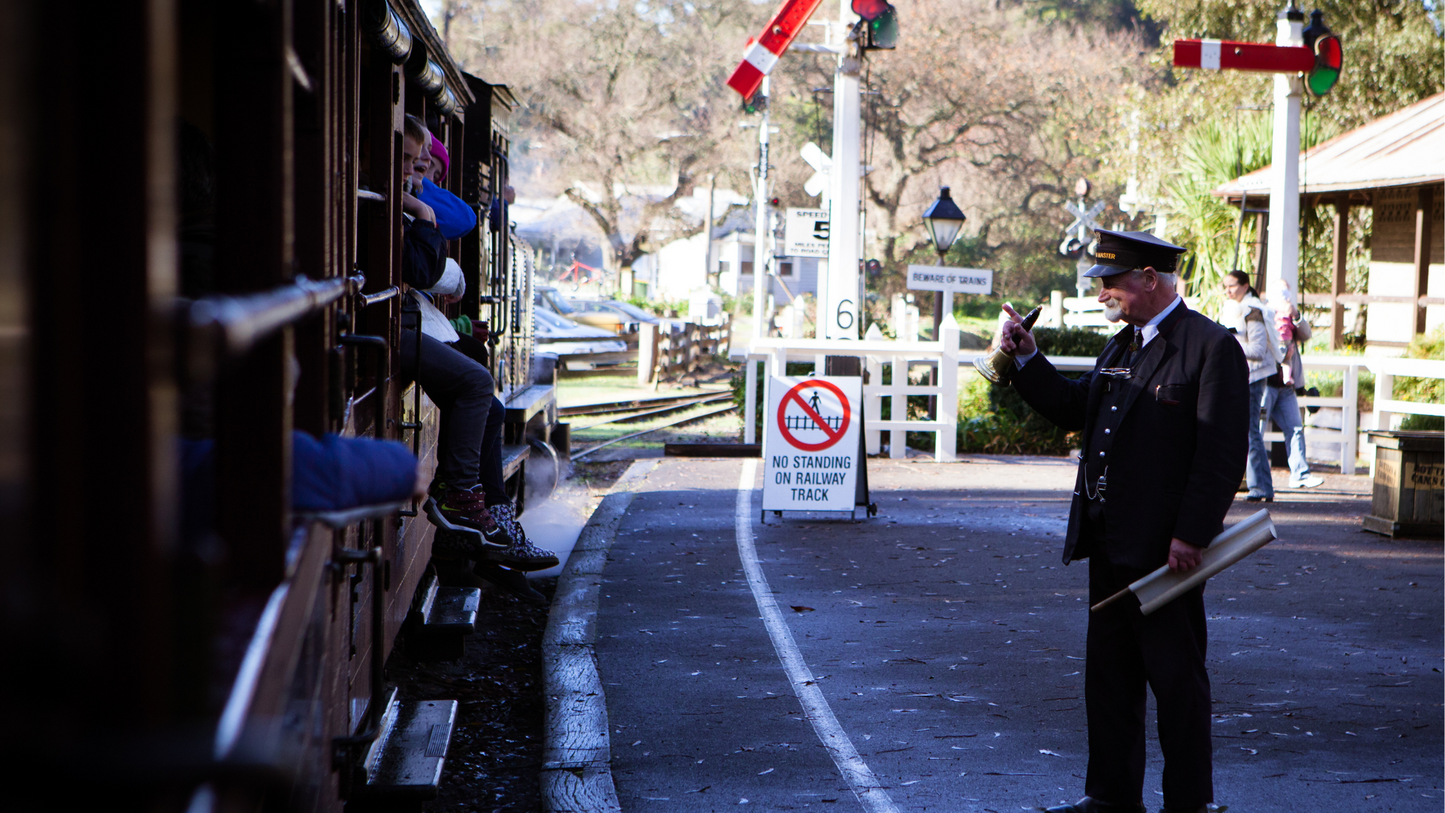 Mornington Peninsula + Puffing Billy Day Tour: Wildlife, Wine & Art (1–6 people)
