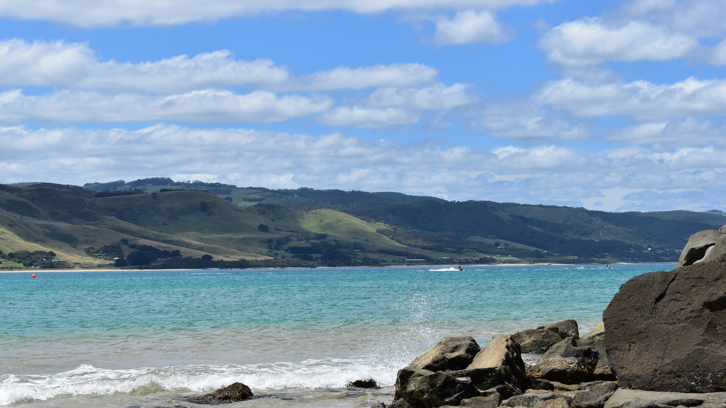 Great Ocean Road Adventure: Scenic Coastlines & Iconic Landmarks (1-6 people)