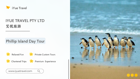 Phillip Island & Penguin Parade Tour: Wildlife & Scenic Views (1-6 people)