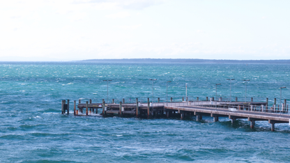 Phillip Island & Penguin Parade Tour: Wildlife & Scenic Views (1-6 people)