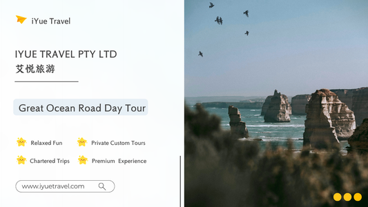 Great Ocean Road Adventure: Scenic Coastlines & Iconic Landmarks (1-6 people)