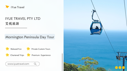 Mornington Peninsula Highlights: Beaches, Wineries, and Scenic Views (1-6 people)
