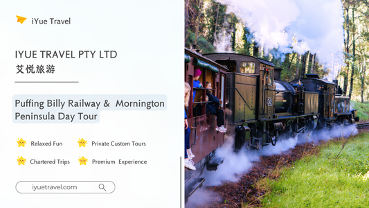 Puffing Billy Railway + Mornington Peninsula Day Tour: Steam Train, Coastline, Art (1–6 people)