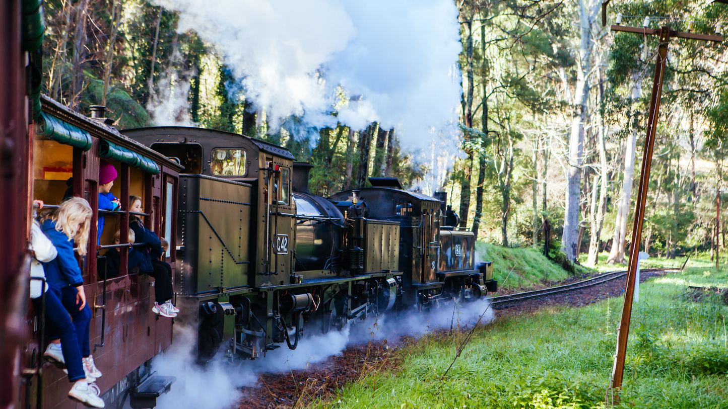 Puffing Billy Railway + Mornington Peninsula Day Tour: Steam Train, Coastline, Art (1–6 people)