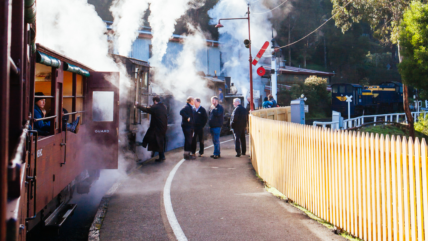 Puffing Billy Railway + Mornington Peninsula Day Tour: Steam Train, Coastline, Art (1–6 people)