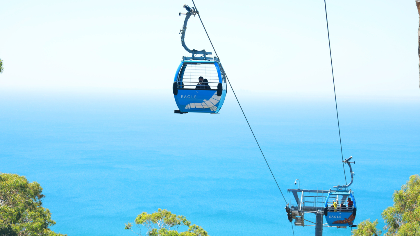 Puffing Billy Railway + Mornington Peninsula Day Tour: Steam Train, Coastline, Art (1–6 people)