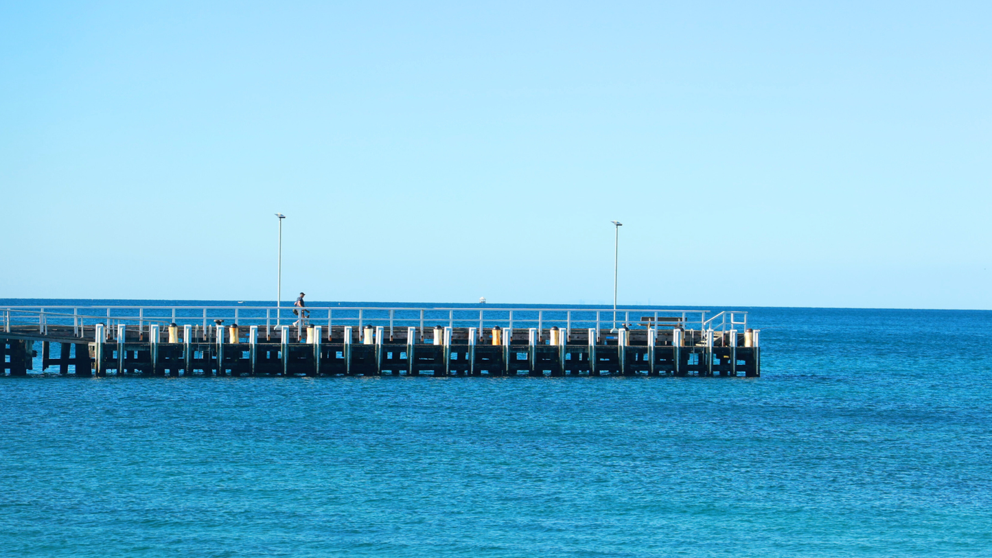 Puffing Billy Railway + Mornington Peninsula Day Tour: Steam Train, Coastline, Art (1–6 people)