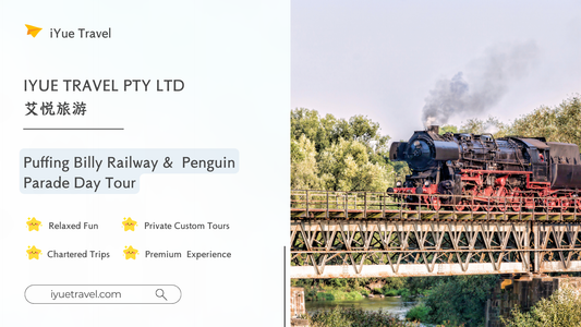 Puffing Billy Railway + Penguin Parade Day Tour: Steam Train, Animals, Coastal Views (1–6 people)