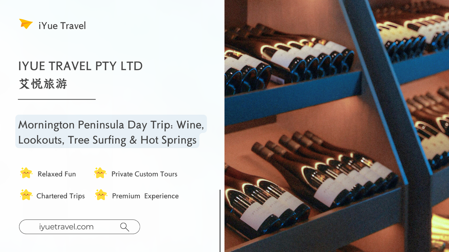 Mornington Peninsula Day Tour: Wine Tasting, Scenic Lookouts, Tree Surfing, Hot Springs (1–6 people)