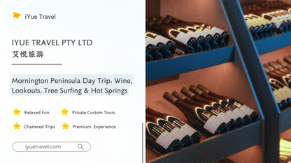Mornington Peninsula Day Tour: Wine Tasting, Scenic Lookouts, Tree Surfing, Hot Springs (1–6 people)