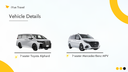 Mornington Peninsula Day Tour: Wine Tasting, Scenic Lookouts, Tree Surfing, Hot Springs (1–6 people)