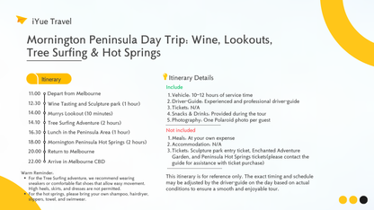 Mornington Peninsula Day Tour: Wine Tasting, Scenic Lookouts, Tree Surfing, Hot Springs (1–6 people)