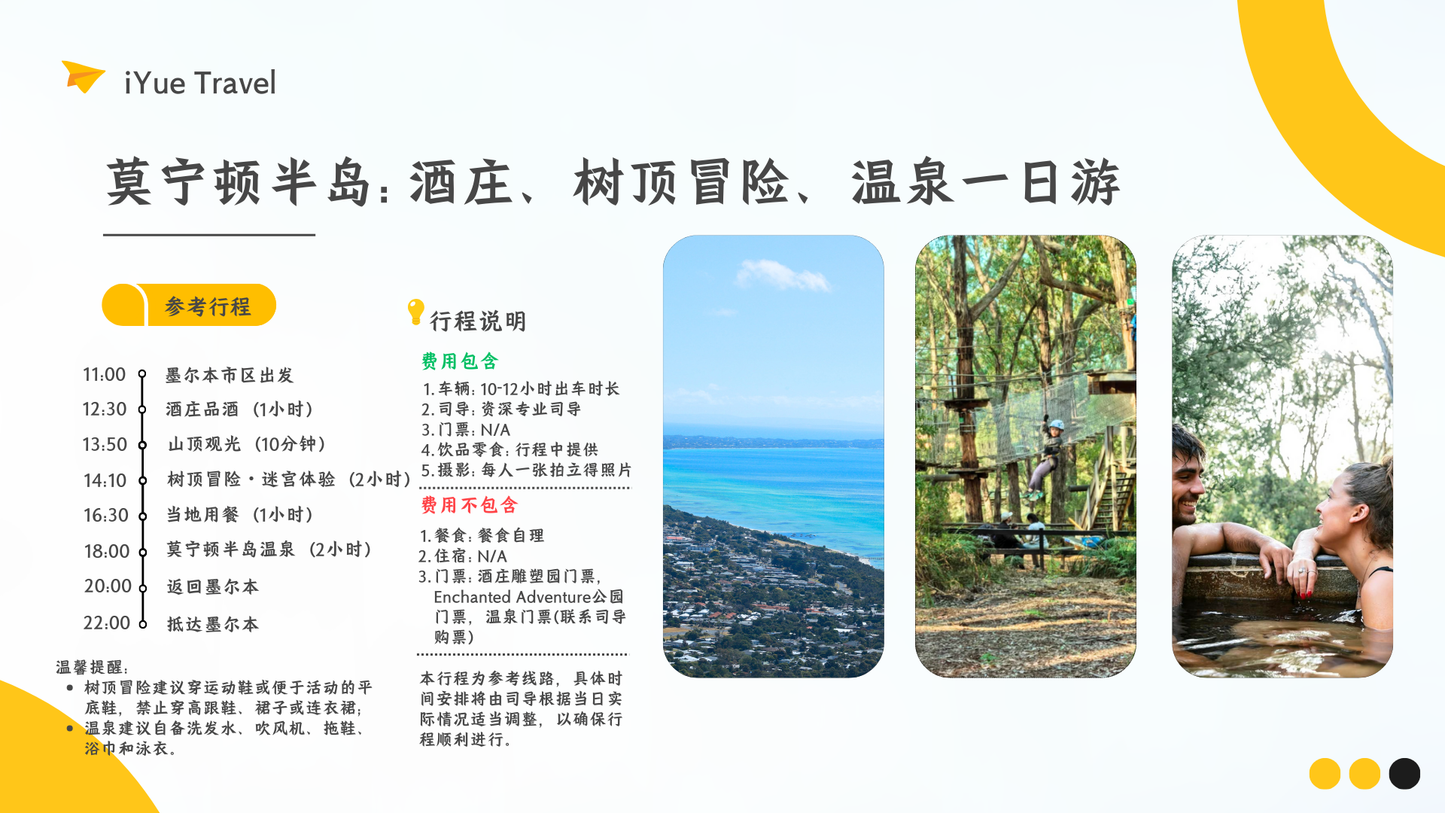 Mornington Peninsula Day Tour: Wine Tasting, Scenic Lookouts, Tree Surfing, Hot Springs (1–6 people)