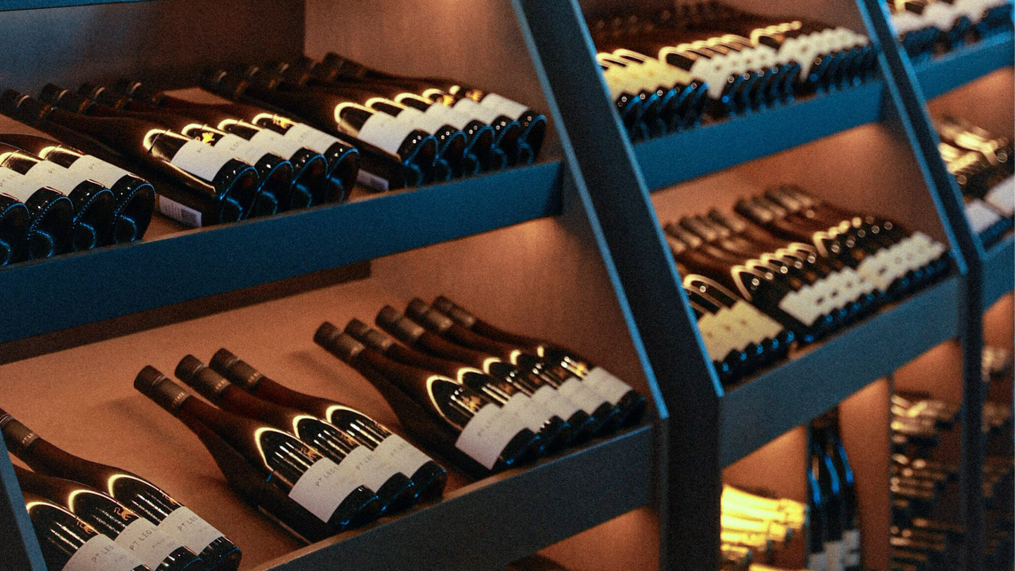 Mornington Peninsula Day Tour: Wine Tasting, Scenic Lookouts, Tree Surfing, Hot Springs (1–6 people)