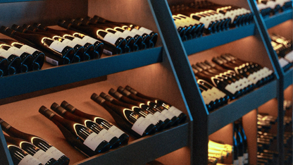 Mornington Peninsula Day Tour: Wine Tasting, Scenic Lookouts, Tree Surfing, Hot Springs (1–6 people)