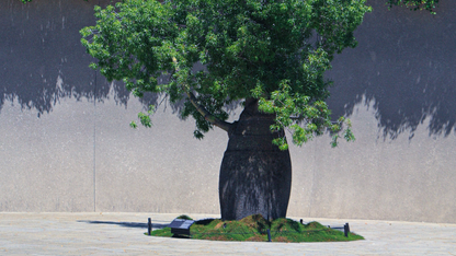 Mornington Peninsula Day Tour: Wine Tasting, Scenic Lookouts, Tree Surfing, Hot Springs (1–6 people)