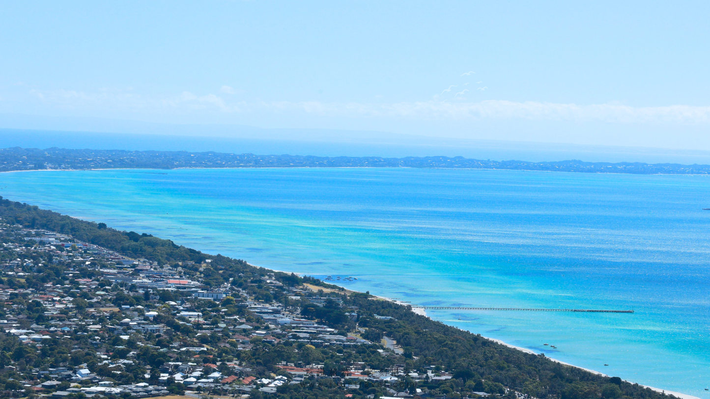 Mornington Peninsula Day Tour: Wine Tasting, Scenic Lookouts, Tree Surfing, Hot Springs (1–6 people)