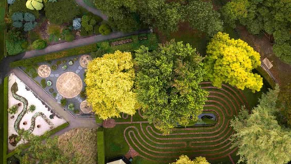 Mornington Peninsula Day Tour: Wine Tasting, Scenic Lookouts, Tree Surfing, Hot Springs (1–6 people)