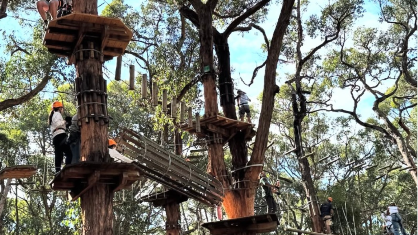 Mornington Peninsula Day Tour: Wine Tasting, Scenic Lookouts, Tree Surfing, Hot Springs (1–6 people)