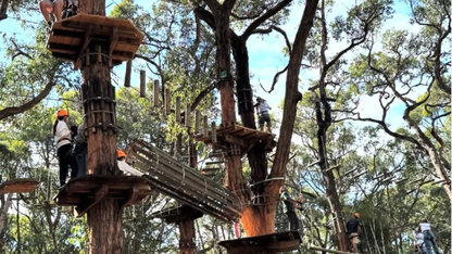 Mornington Peninsula Day Tour: Wine Tasting, Scenic Lookouts, Tree Surfing, Hot Springs (1–6 people)